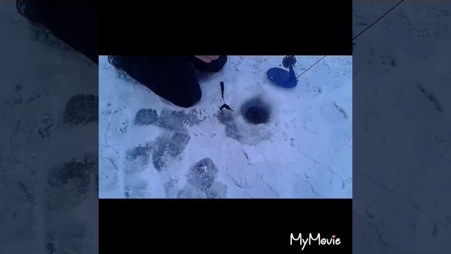 И все-таки мы их поймали!!!