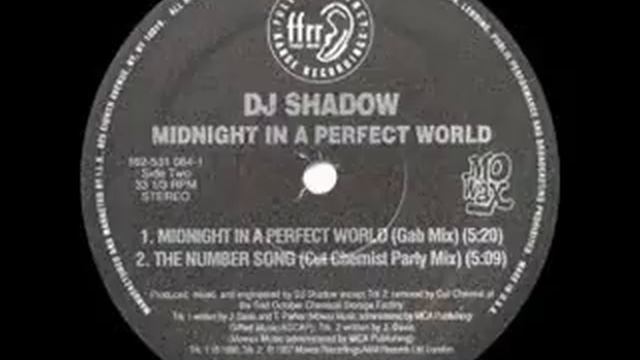 DJ Shadow Midnight In A Perfect World (Remix).wmv