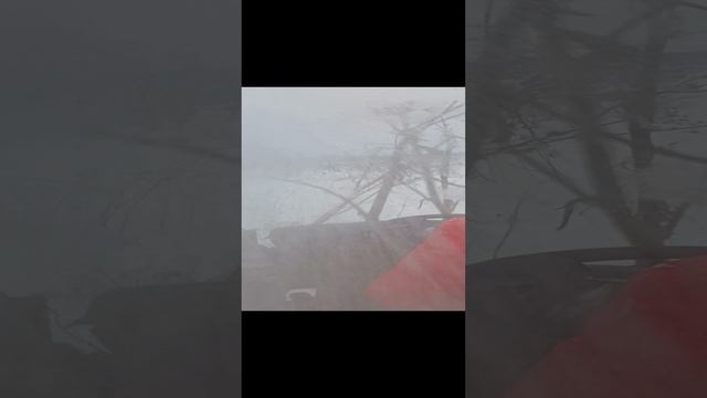20231210_111554.mp4