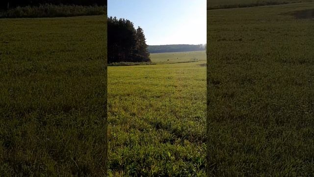 ночевали в поле.mp4
