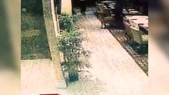 ЗА ТОБОЙ НАБЛЮДАЮТ ПРЯМО СЕЙЧАС