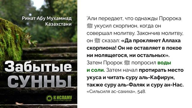 06. Забытые Сунны. Этикеты посещения больного и различные виды лечения _ Ринат Абу Мухаммад