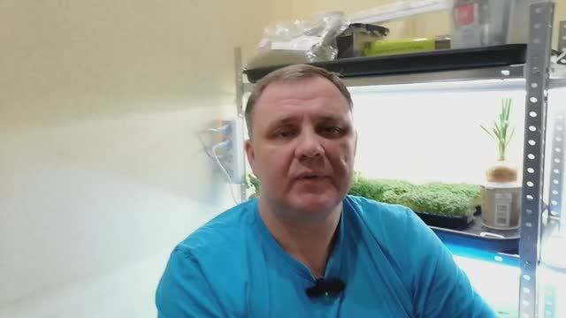 Сити ферма
