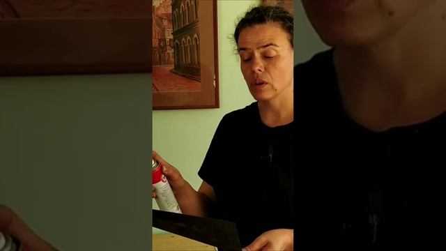 Фиксируем сухую пастель  Художник Марина Вишневская #Shorts