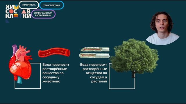 Химический состав клетки. Вода