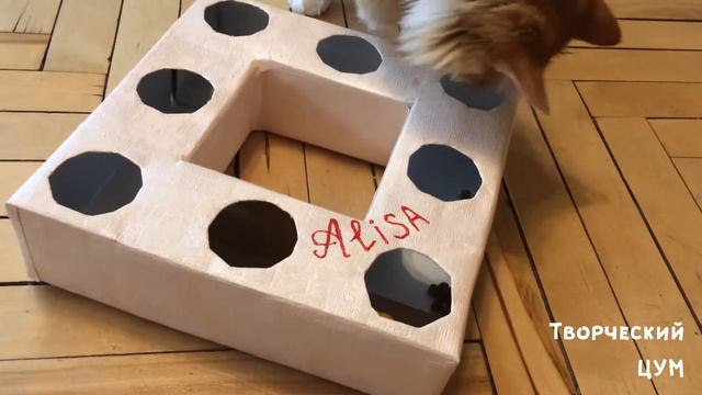 Игрушки для кошек / кормушка игрушка своими руками / game for cats