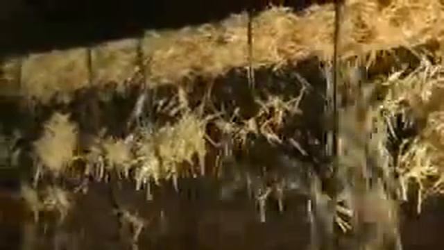 📹    О том, чего никак нельзя делать после окончания трапезы!!
