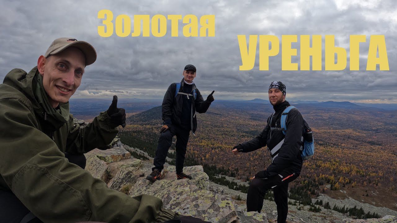 Золотая Уреньга