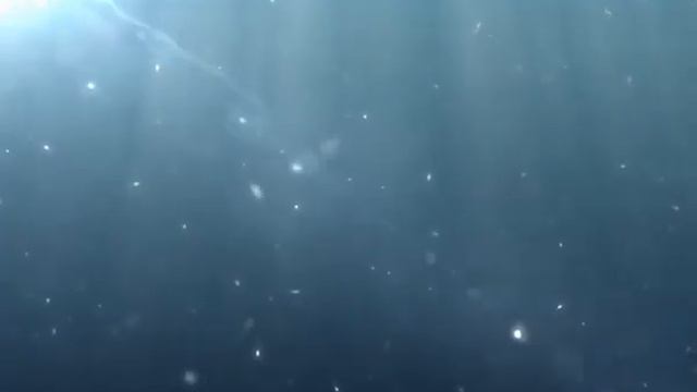 Рекламный ролик - "Золотая рыбка"