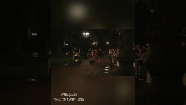 Song from a Secret Garden / String quartet Mira / Marriage proposal / Струнный квартет Mira