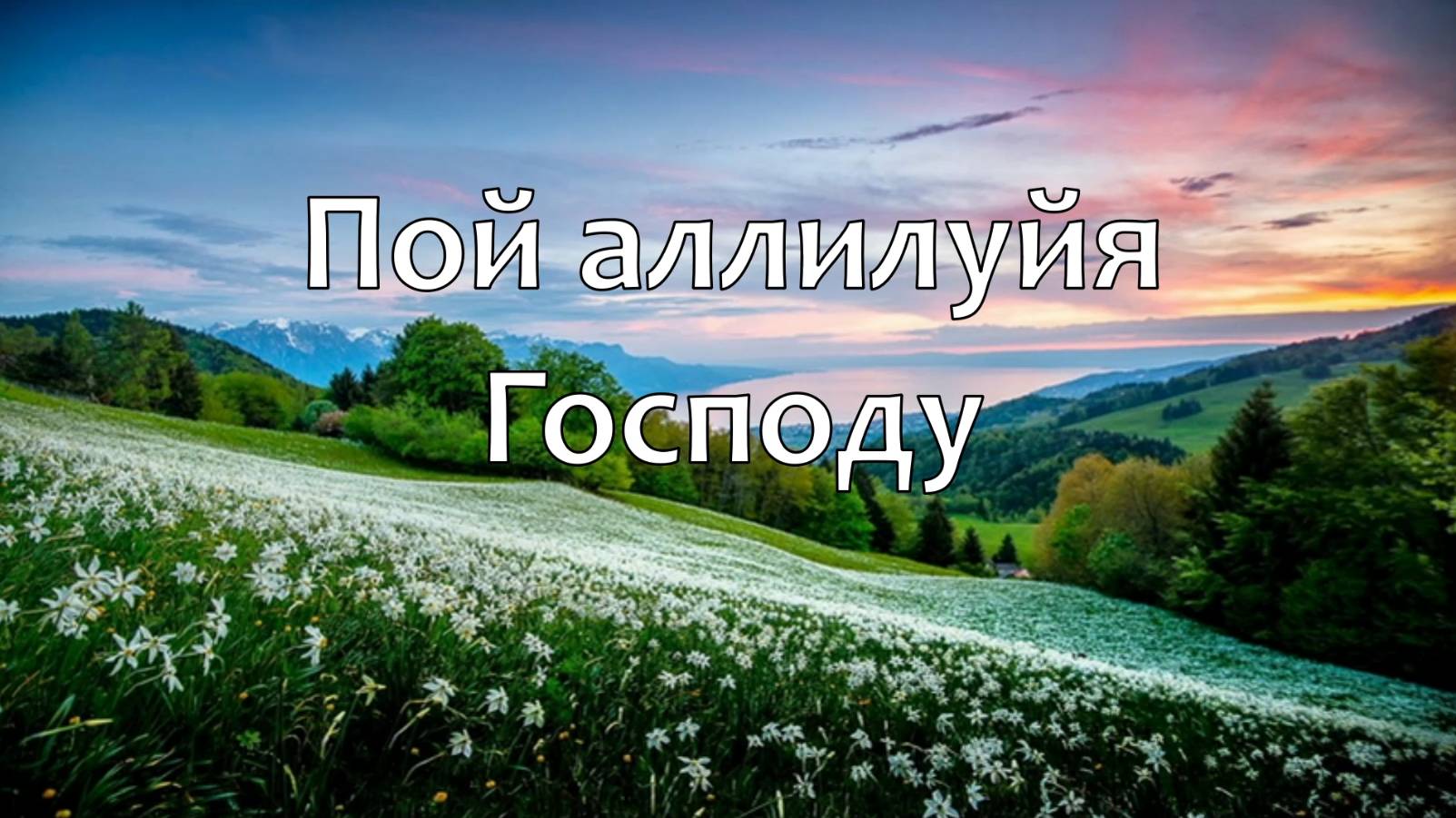 Пой аллилуйя Господу