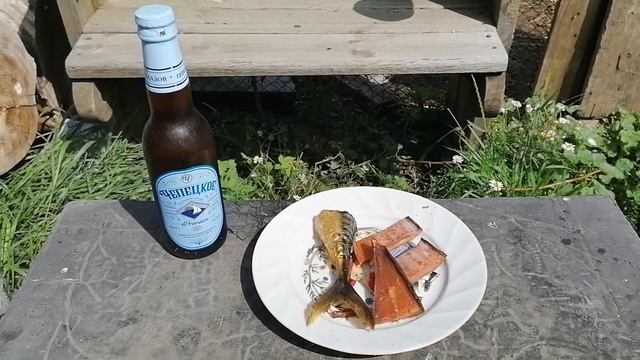 Гран-При Магнитогорск. Спортивные голуби
