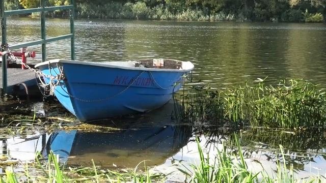 Разрядка для мозга, Делаю это каждый день!