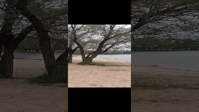 Город Липецк