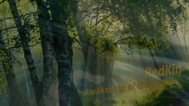 Awakening of the Forest | meditation music | soothing relaxation | space-ambient