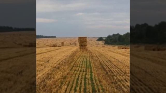 Родина пахнет в печи остывающим хлебом...