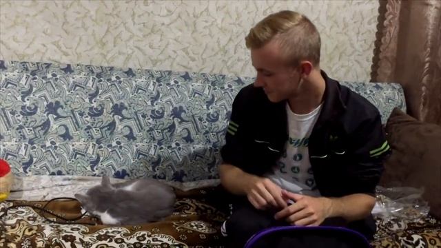 Контузил кота◀ Что делать когда холодно? ヅ