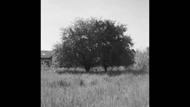 Black and White Photography - 1949 "Reflekta II" 6x6 TLR camera