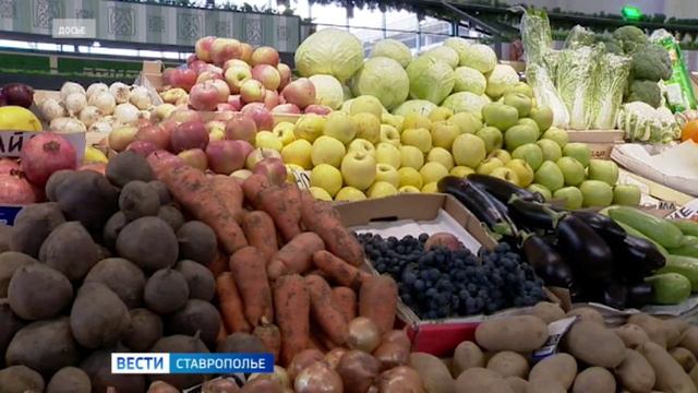 Безопасность пищевых продуктов в фокусе: советы Роспотребнадзора по выбору свежих овощей и фруктов