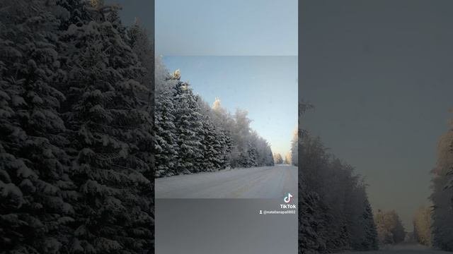 Зимняя сказка