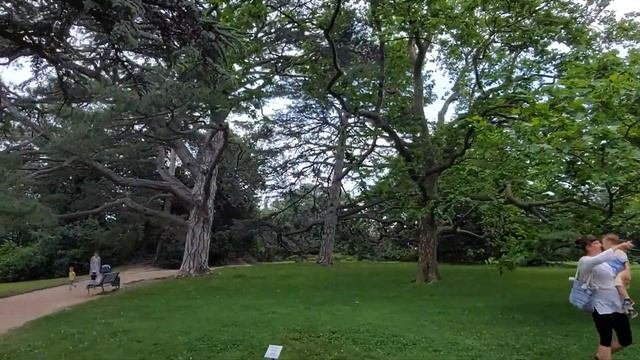 Крым сегодня. Что творится на городском пляже в Алупке но сначала смотрим Воронцовский парк.
