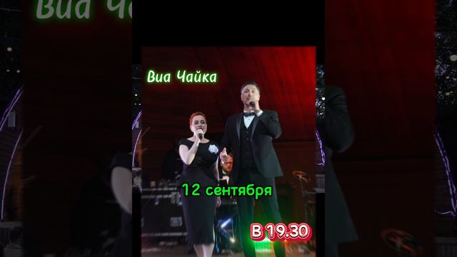 Концерт в парке