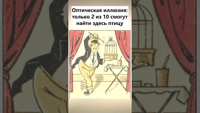 Найдите на картинке птицу #головоломка