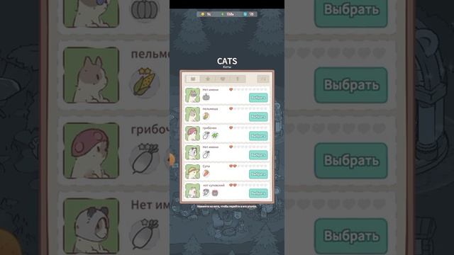 коты и суп