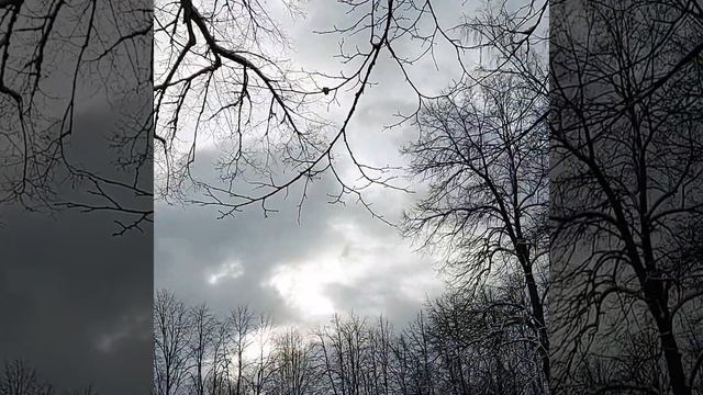 Снежная весна в Абрамцево