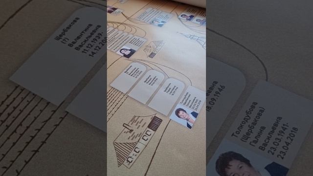 VN20230615_081242.mp4