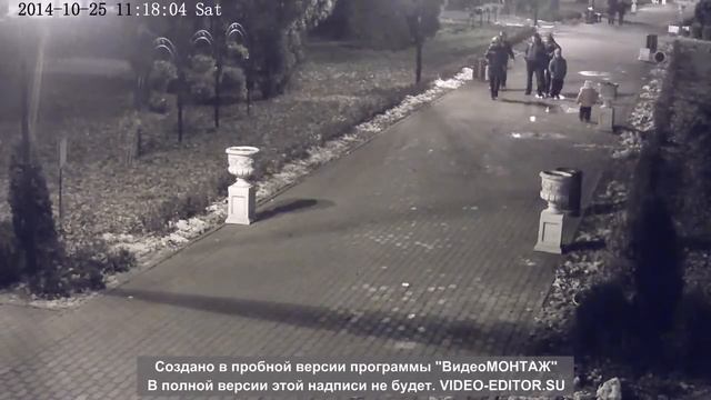 Быдлосемейка в парке Л.Н.Толстого. г. Химки