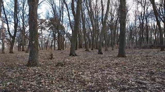Коп х-терой 505 в старом заброшенном парке возле пруда, советы прут UA.