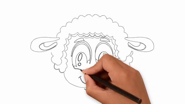 how to draw a lamb