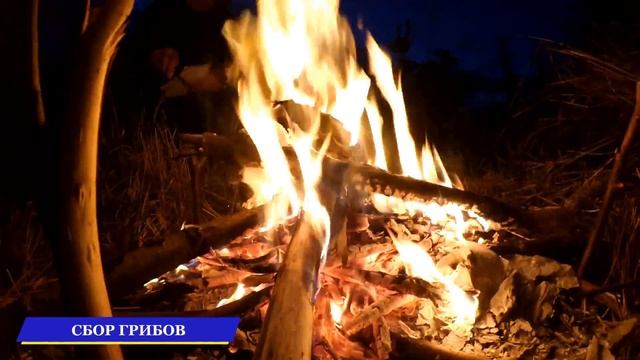 РЫБАЛКА НА КАРПОВОМ ОЗЕРЕ С НОЧЕВКОЙ июльская РЫБАЛКА в плохую погоду
