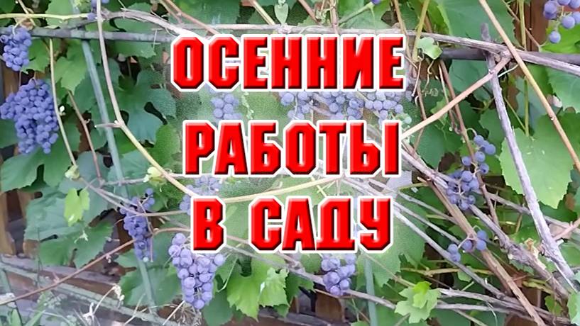 Осенние работы в саду