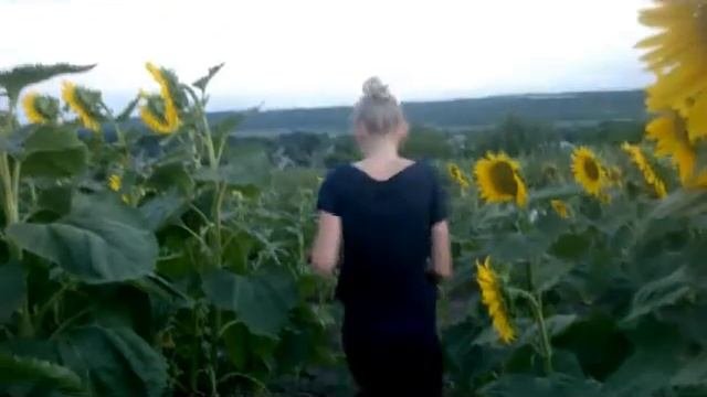 Прогулка на велосипедах. Мини Vlog