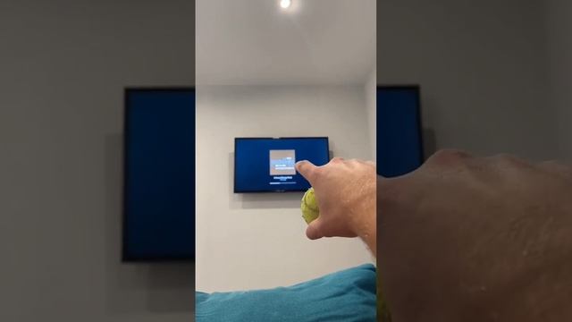 Разбил телевизор теннисным мячиком