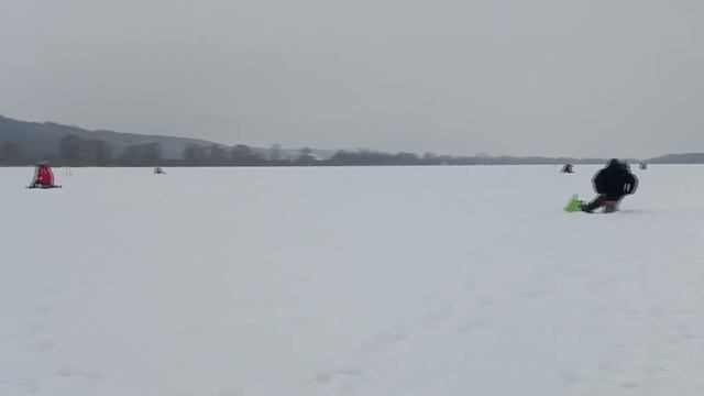 Как рыбак Николай, учил РЫБУ ловить!| Зимняя рыбалка 2024!