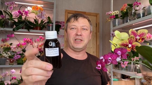с ЭТИМ КОРНИ ОРХИДЕИ ЗАКОЛОСЯТСЯ гарантированно