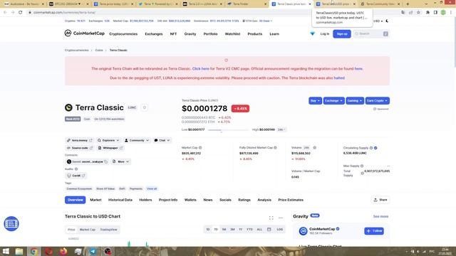 БЫСТРЫЙ АПДЕЙТ ПО TERRA (LUNA) И UST: дата запуска, продажи токенов, сжигание UST