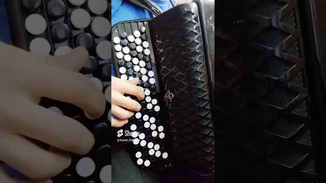 #shorts_video #shortsvideo #shortsyoutube #песни #песниподбаян #называешьтыменяколдуньей
