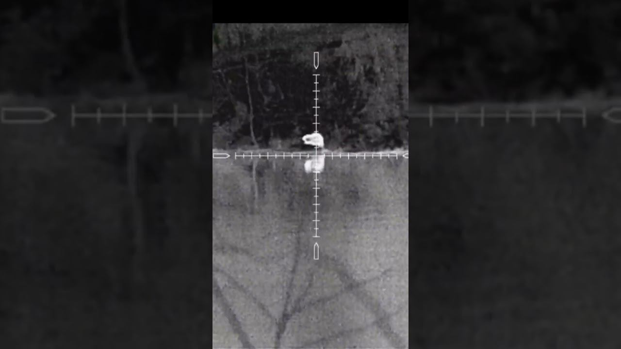 Охота на бобра. Beaver hunting.
