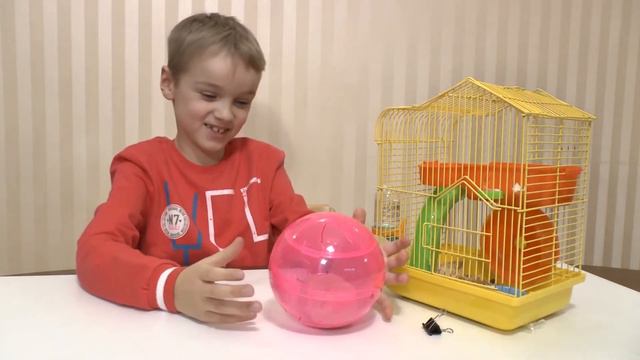 🐁🐹🐰🐭МУРКА 2 - хомяк - бегает в колесе