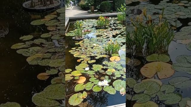 красота вокруг нас😍