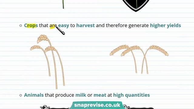 Selective Breeding | 9-1 GCSE Science Biology | OCR, AQA, Edexcel