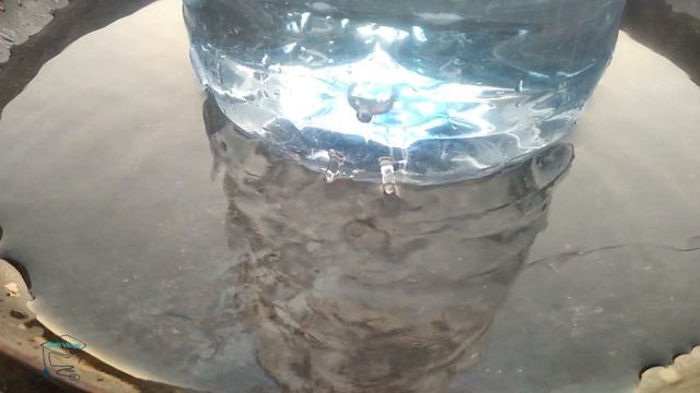 Bird Water Feeder From Plastic Bottle – Easy To Make Automatic Water Feeder at Home
