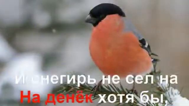 КАРАОКЕ для ДЕТЕЙ   Кабы Не Было Зимы