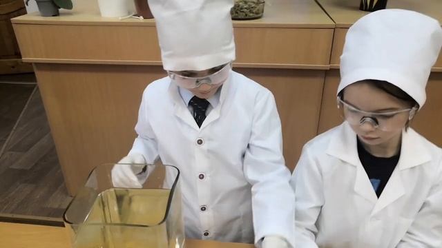 Чемпионат KidSkills. Компетенция  "Сити-фермерство"
