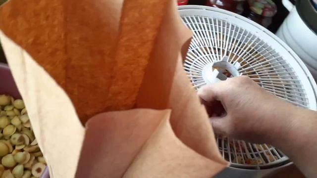 1707433265844.mp4
