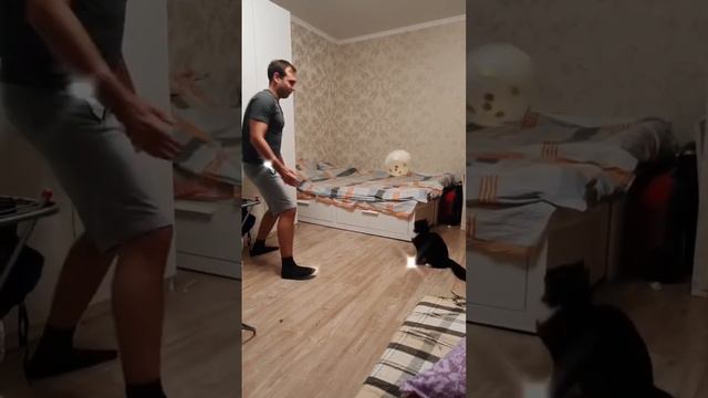 Когда не с кем играть, но есть кот/кошка #лайки #милота #котики #топ #игры